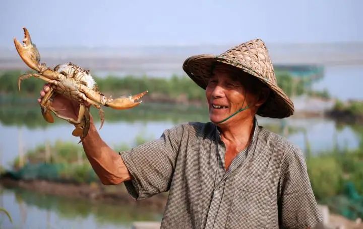 潮汕糯米鸡_潮汕美食糯叽叽_潮汕糯米鸡图片